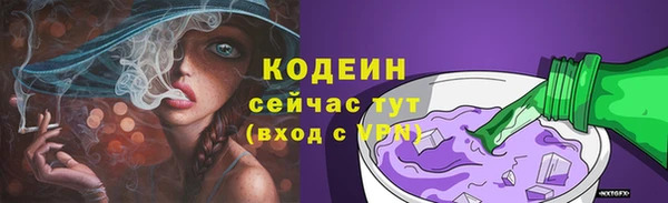 СК Инта