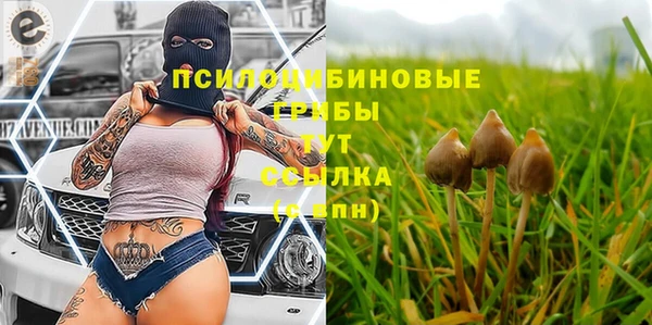 jwh Инсар