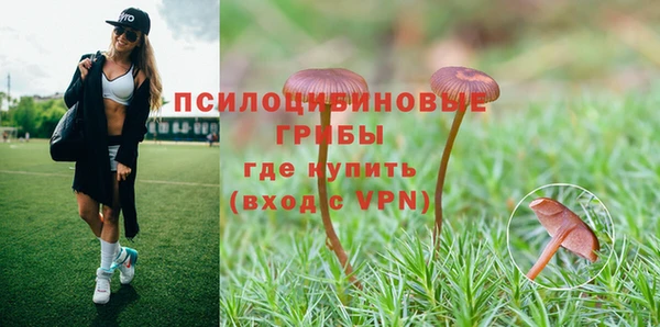соль курить ск Иннополис