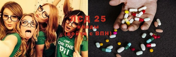 СК Инта