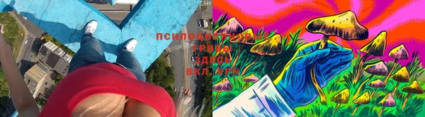 jwh Инсар