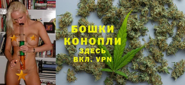СК Инта
