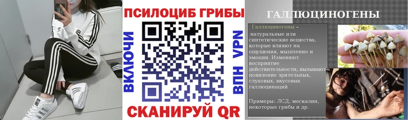 Купить где  Зеленоградск  Псилоцибиновые грибы прущие грибы 